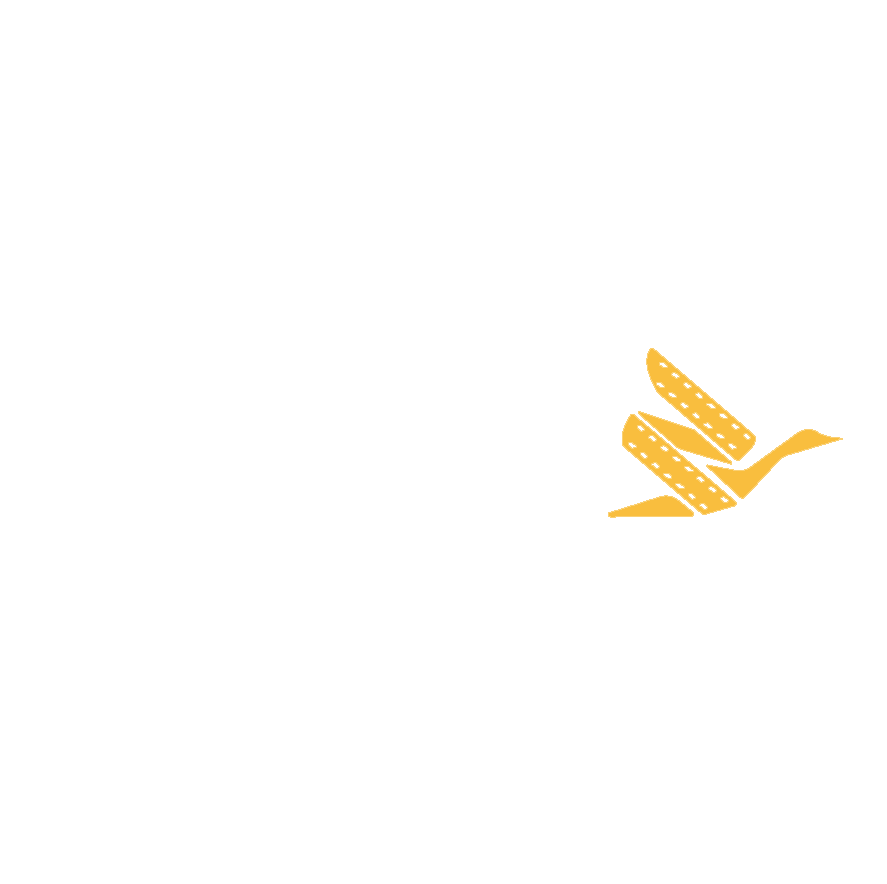 Northern Goose